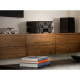 Marantz MODEL 50 (Black)
