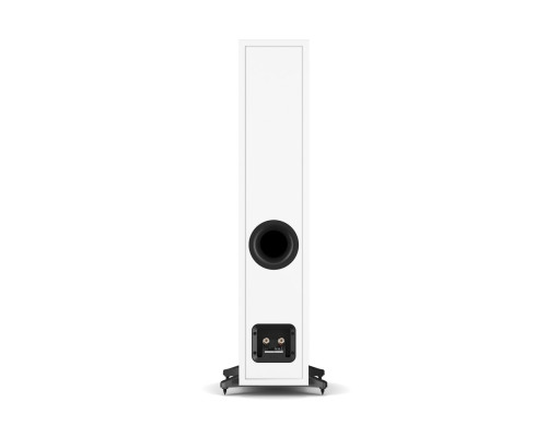 DALI Sonik 5 White