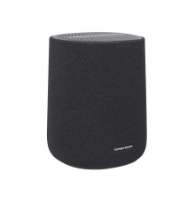 Harman/Kardon Encahnt Speaker