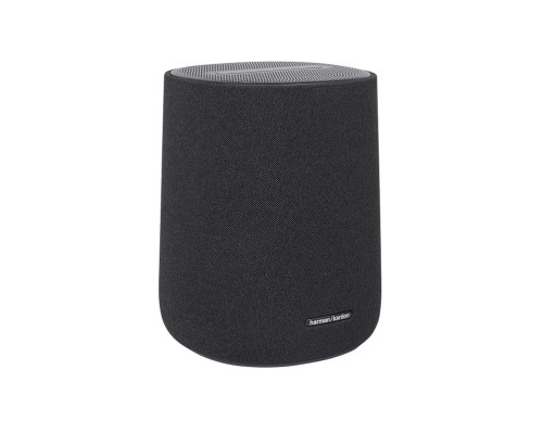 Harman/Kardon Encahnt Speaker