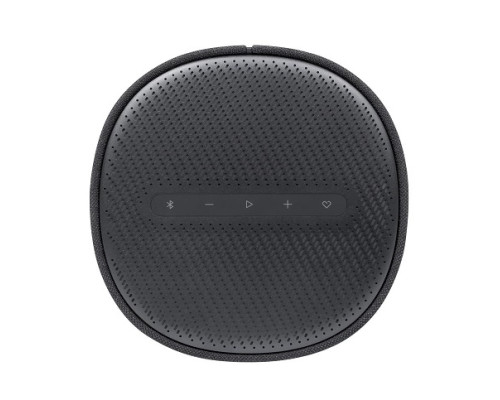 Harman/Kardon Encahnt Speaker