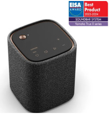 Yamaha WS-X1A Carbon Gray