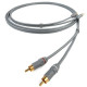 Chord Leyline 2RCA to 2RCA 1m