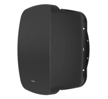 Klipsch All Weather PSM-650-T Black