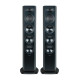 підлогова акустика Arcam R35 Black Walnut