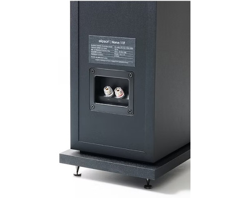 Підлогова акустична система Elipson Horus 11F (Black - Carbon)