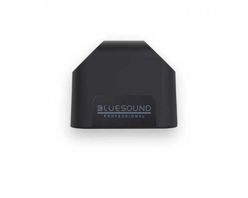 Bluesound BSP125 Black Professional