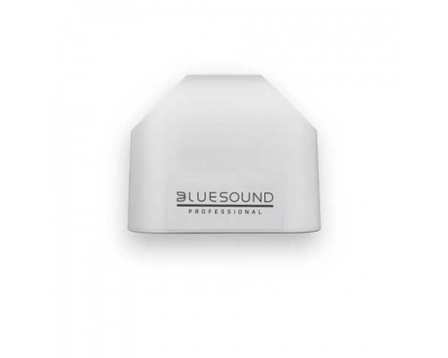 Bluesound BSP125 White Professional