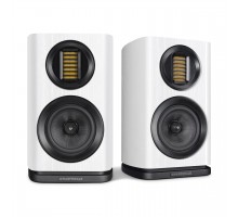 Wharfedale EVO 4.1 White Oak