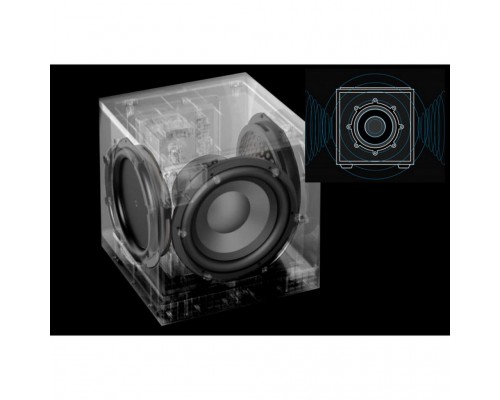 Definitive Technology DN12 SUB Black