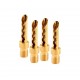 Atlas Transpose Adapters Gold Z
